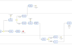 Eu vou criar fluxo BPMN profissionais no Bizagi