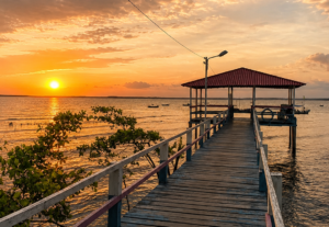 Eu vou Deixar suas fotos com aparência profissional