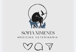 Eu vou transformar sua ideia em design profissional