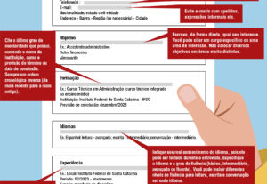 Eu vou fazer o melhor currículo para sua entrevista.
