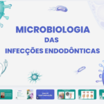 Eu vou fazer seus slides profissionais para faculdade e afin...