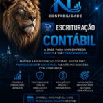 Eu vou fazer sua declaração anual do MEI DASN-SIMEI
