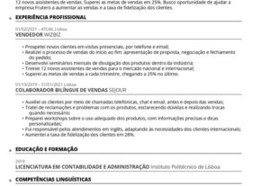 Eu vou Criar seu currículo profissional no modelo Europass