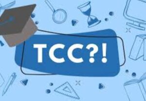 Eu vou formatar seu TCC ou artigo nas normas ABNT urgente