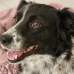 Eu vou editar fotos/vídeos com ia, criar textos e falas.