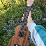Eu vou ensinar a tocar ukulele.