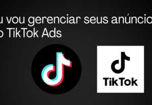Eu vou gerenciar seus anúncios no TikTok Ads
