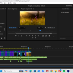Eu vou editar seu video curto