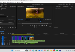 Eu vou editar seu video curto