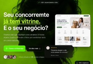Eu vou fazer seu site em 5 horas