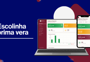 Eu vou desenvolver sistemas profissional pra você