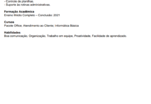 Eu vou criar seu currículo profissional em PDF
