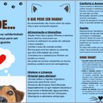 Eu vou fazer design e edições de videos para suas redes