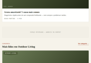 Eu vou criar um blog/portal profissional em WordPress