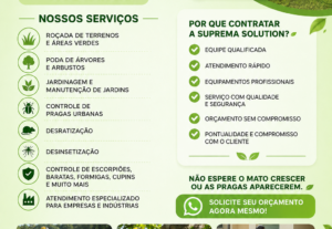 Eu vou fazer Criação de conteúdo e marketing para empresas