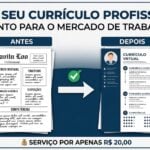 Eu vou criar um currículo profissional para você