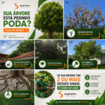 Eu vou Criar divulgação profissional para WhatsApp