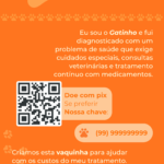 Eu vou criar posts personalizados para redes sociais