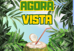 Eu vou Criar 4 posts diferentes para seu Instagram