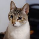 Foto do perfil do trabalhador freelancer