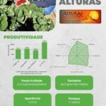 Eu vou criar 3 artes profissionais para seu Instagram