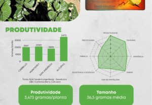 Eu vou criar 3 artes profissionais para seu Instagram