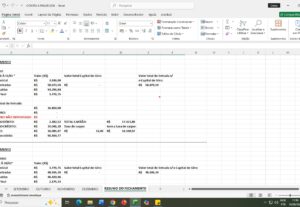Eu vou Organizar sua planilha Excel profissional