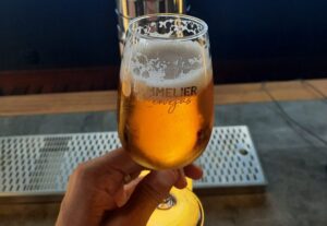 Eu vou explicar o processo de fabricação de cerveja