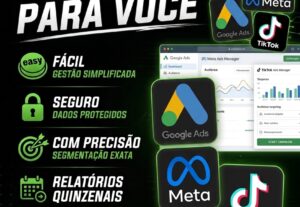 Eu vou gerenciar seus anúncios online