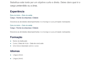 Eu vou fazer seu currículo profissional