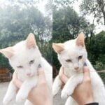 Eu vou fazer as melhores edição foto e vídeo