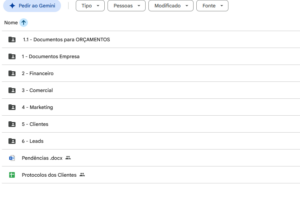 Eu vou organizar e estruturar o seu Google Drive.
