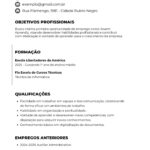 Eu vou criar um currículo profissional para você