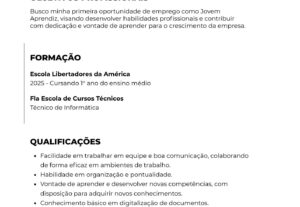 Eu vou criar um currículo profissional para você