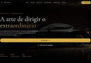 Eu vou criar um site profissional para a sua empresa