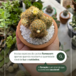 Eu vou fazer Design Gráfico Profissional |Posts, Banners etc...