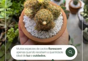 Eu vou fazer Design Gráfico Profissional |Posts, Banners etc...