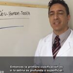 Eu vou criar e sincronizar legendas para o seu vd de até 3mi...