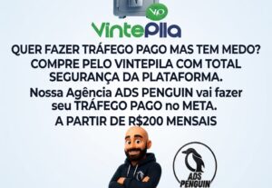 Eu vou fazer seu tráfego pago do seu negócio no meta