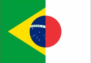 Eu vou Traduzir, transcrever, revisar, legendar japonês