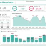 Eu vou Cria Dashboards profissionais no Power Bi.