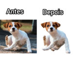 Eu vou Remover o fundo da sua imagem