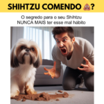 Eu vou marketing , tradutor entre outras habilidades