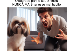 Eu vou marketing , tradutor entre outras habilidades