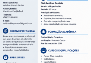 Eu vou Fazer seu currículo profissional