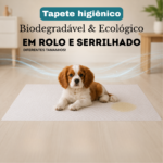 Eu vou criar conteudos no canva