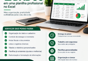 Eu vou organizar seus dados no Excel
