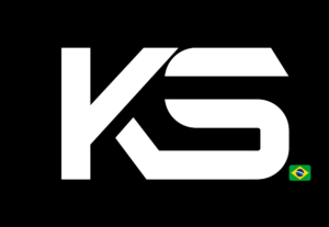 Eu vou Criar uma logo profissional para sua empresa
