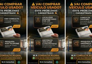 Eu vou Vou fazer consulta de Placa