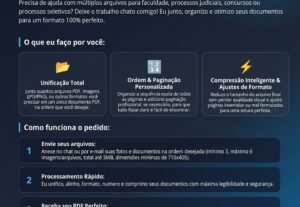 Eu vou Focado na Solução: Junto e Organizo Seus PDFs